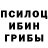 Псилоцибиновые грибы мухоморы A Peres