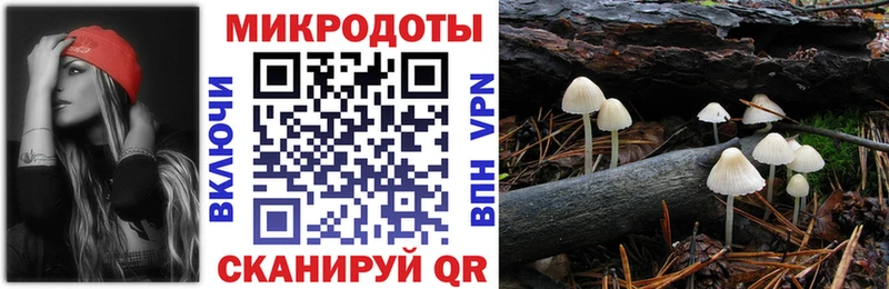 где найти наркотики  Пойковский  гидра онион  Псилоцибиновые грибы прущие грибы 